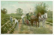 c1908 Wisconsin Winnebago Farm