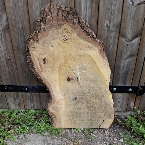 Oak wood waney live - waney, edge