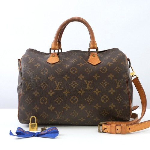 Louis vuitton monogram - louis, lv