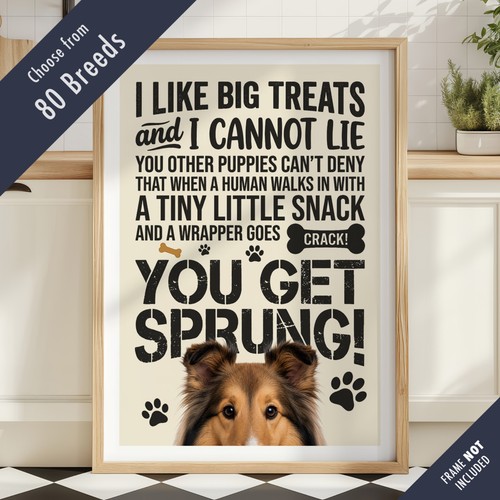 Funny dog treats - treats, lyric
