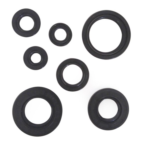 Complete engine motor - motor, oil