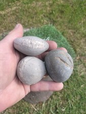 3 X SPLIT YOUR OWN AMMONITE