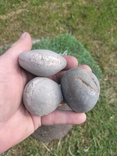 Split your own ammonite - x,