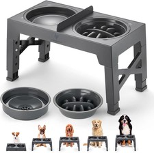 Raised Dog Bowls with Stand