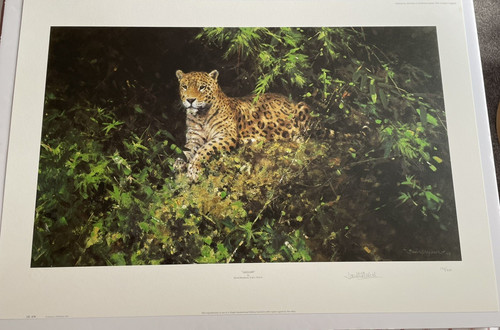Jaguar david shepherd signed - david,