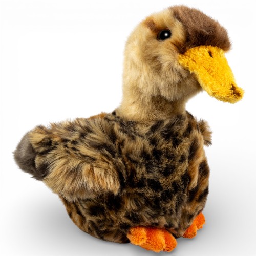Carl dick duck - duck, female