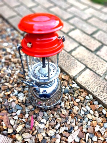 Vintage 1950s bialaddin - 1950s,