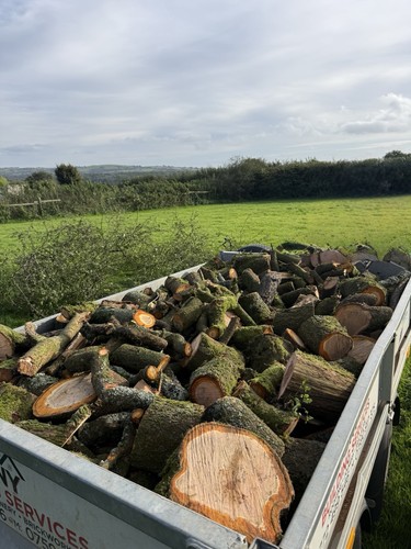 Logs and wood chip - 🪵,