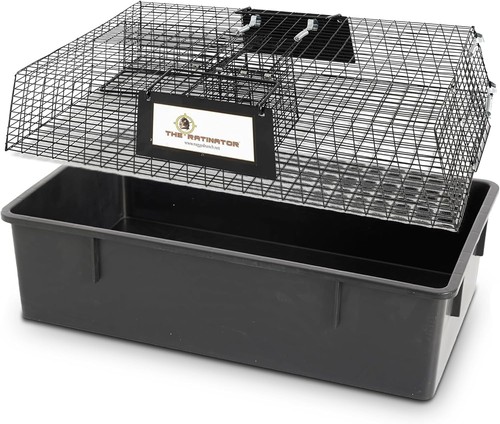 Ratinator live rat and - rat,