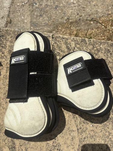 Roma tendon and - roma,