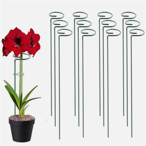 Spiral plant support - support, stakes