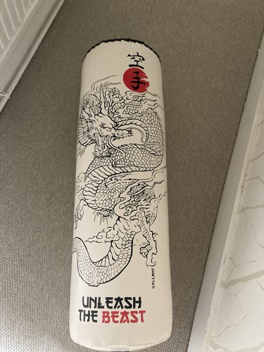 Unleash the beast boxing - , bag