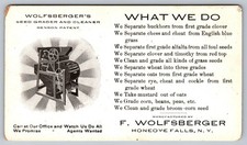 Victorian Wolfsberger Seed