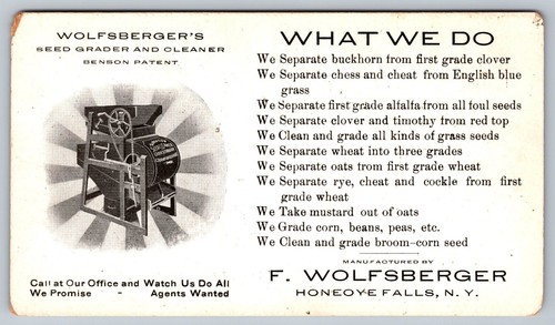 Victorian wolfsberger seed - victorian,
