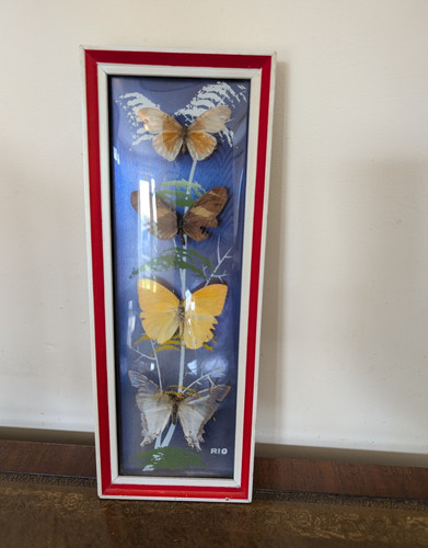 Vintage rio mounted - rio,