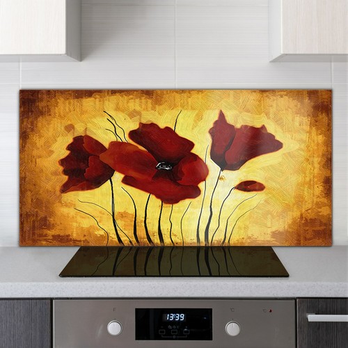 Toughened glass kitchen cooker - glass,