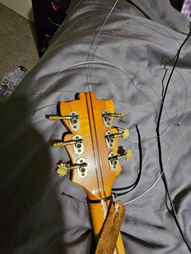 1958 hofner committee - ., great