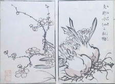 TACHIBANA UNGA ORCHID PLUM