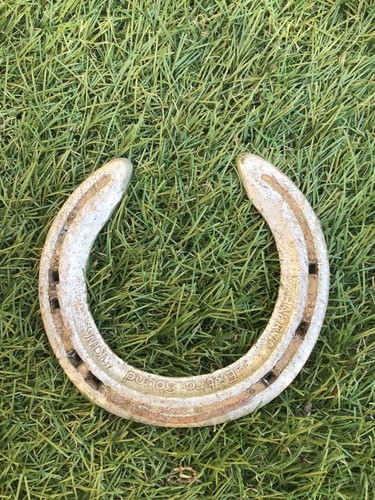 Aluminium horseshoe - 🏇,