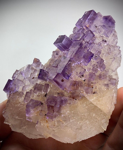 Fantastic quality purple - quality,