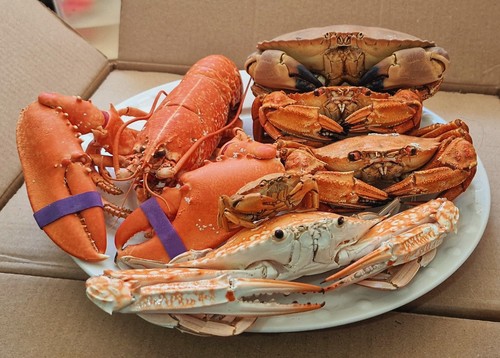 Cooked series crustacean - --cooked,