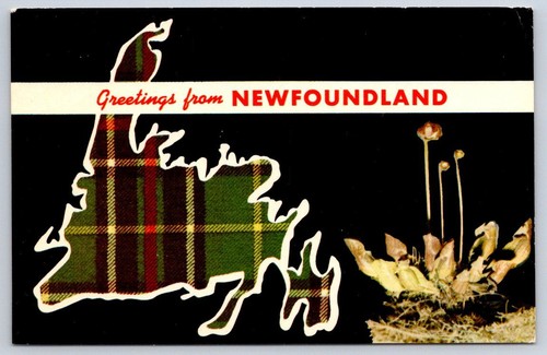 Vintage canada postcard - vintage,