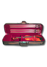*BARGAIN* Deluxe 4/4 violin