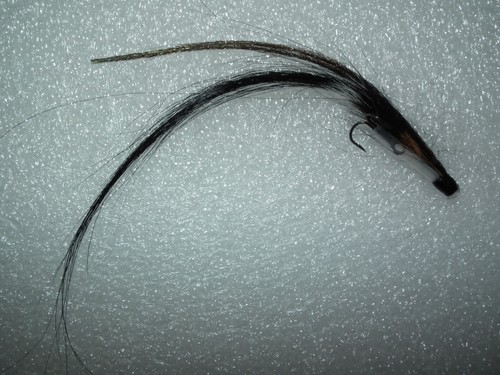 Salmon seatrout 1 - salmon/seatrout, -----