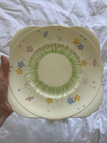 Hand painted grafton china - painted,