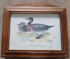 Vintage Italian Holz Wood Handcrafted Bimaculated Duck Wall Mount Key Cabinet