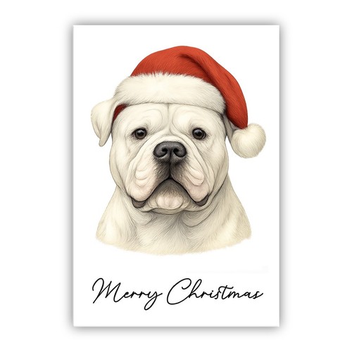 American bulldog christmas dog - american,