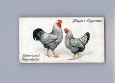 Silver-Laced Wyandottes - 1931