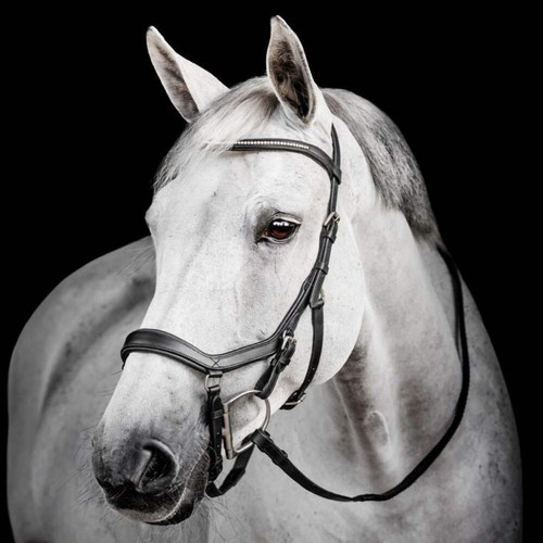 Horseware ireland micklem - horseware,