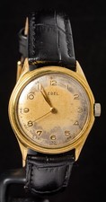 Ebel patina gold plated - patina, men's