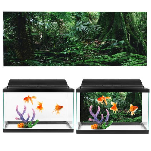Pvc reptile box - reptile,