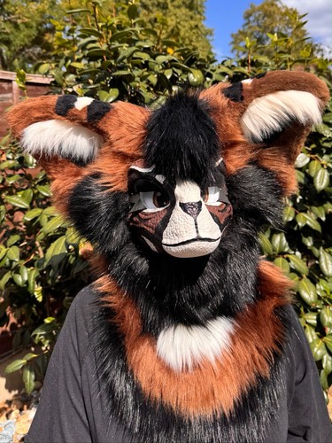 Handmade dino mask fursuit - dino,