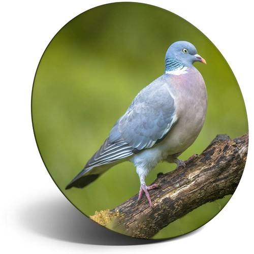 Awesome fridge magnet wood - fridge,