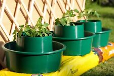 Growpots for Tomatoes Easy Watering Chili Patio Growing Garden Growpot Tomato