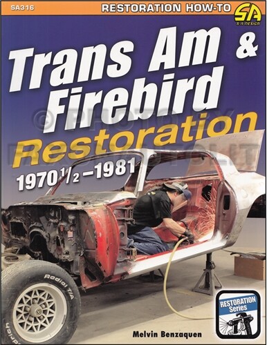 Best trans firebird - am,