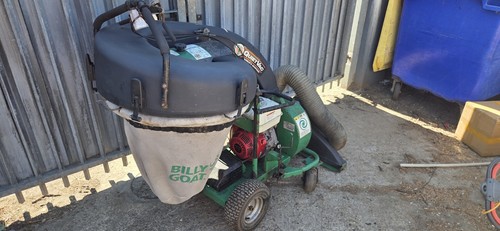 Billy goat leaf - billy,