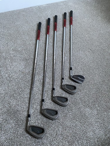 Wishon 979 irons - 8, +