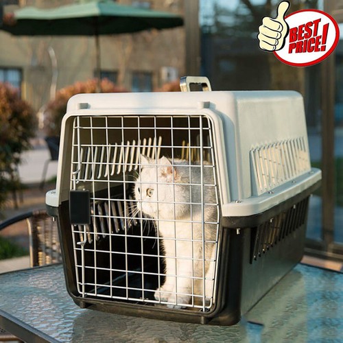 Cat carrier box - cat, puppy