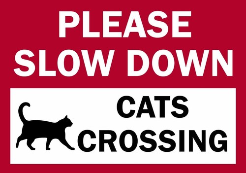 Please slow down - cats, crossing