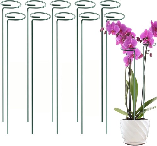 Spiral plant support - plant, stakes
