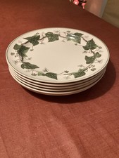 Napoleon Ivy Set of 6 Dinner plates, Wedgwood, Excellent Condition