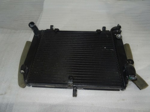 Yamaha yzf rj03 radiator - yamaha,