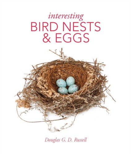 Interesting bird nests and - interesting,