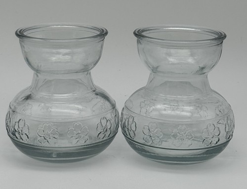 Clear glass bulb forcing - bulb,