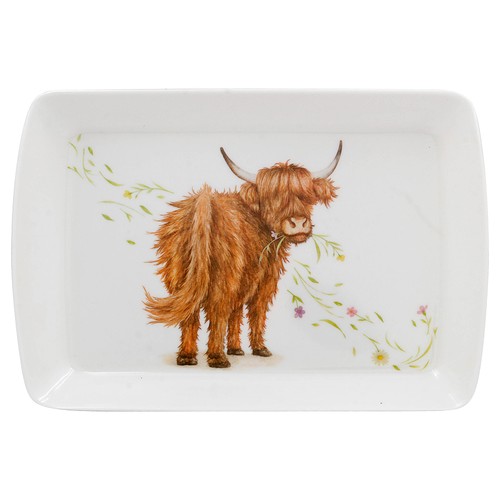 Highland cow small - highland, serving