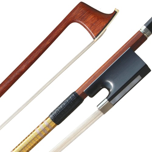 Master pernambuco wood violin - wood,
